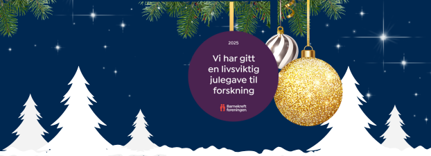 Julehilsen og våre åpningtider i forbindelse med Julen og Nyttår